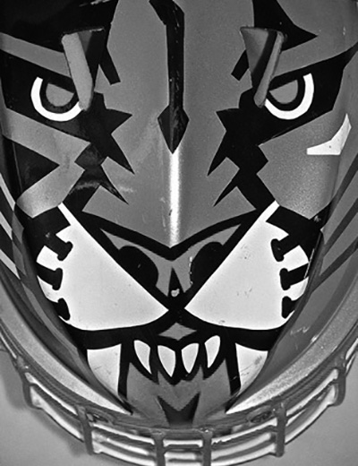 Tiger NHL goalie mask